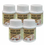 Pahadi Goli Ayurvedic medicine for joint pain relief made with natural herbs for knee, back, and muscle pain