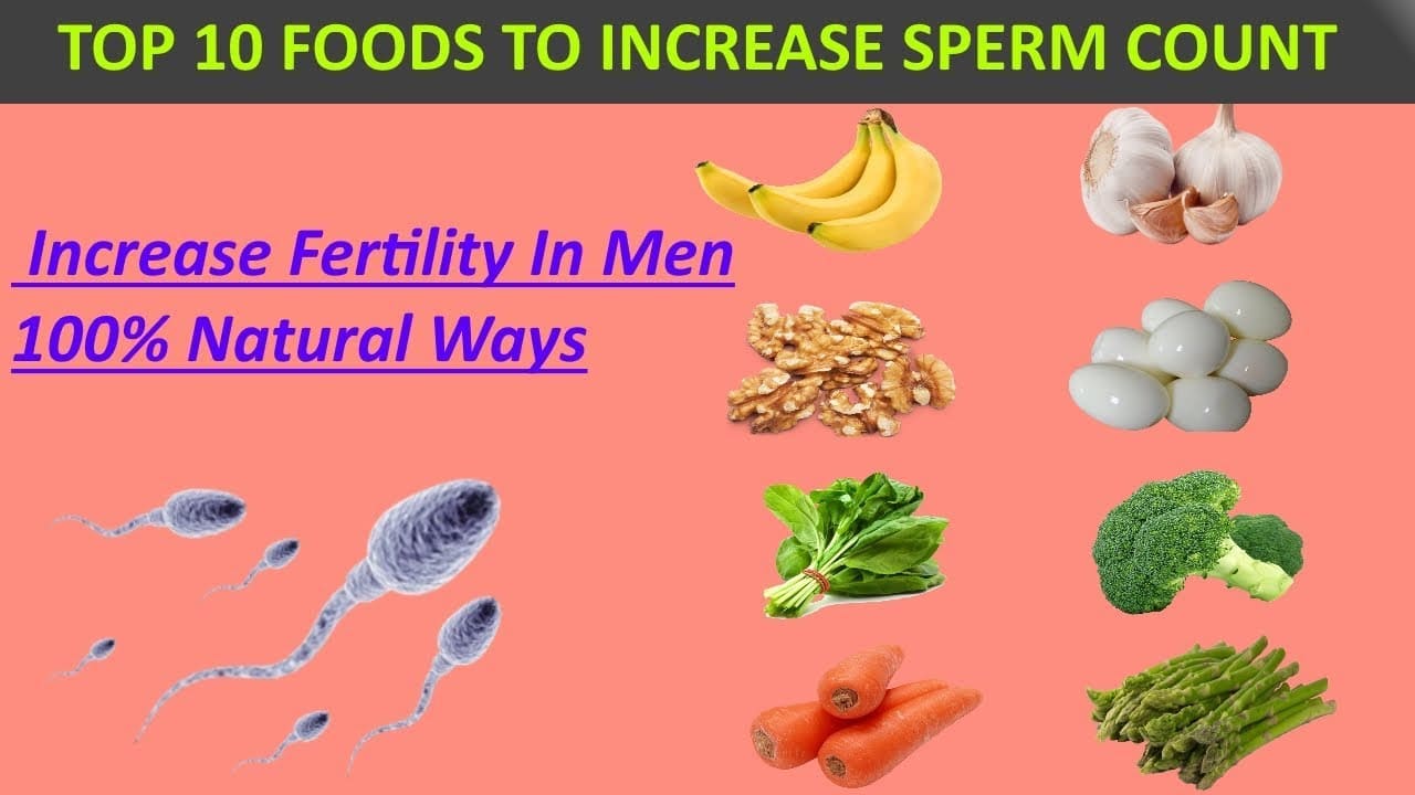 How to Increase Sperm Count Naturally with Herbal and Healthy Foods